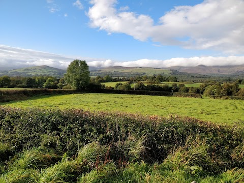 Mitchelstown Cave