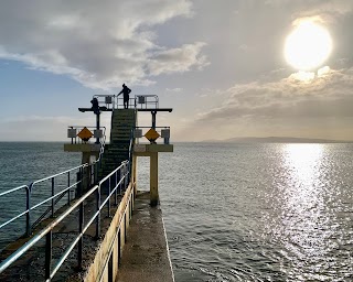 Blackrock Diving Board