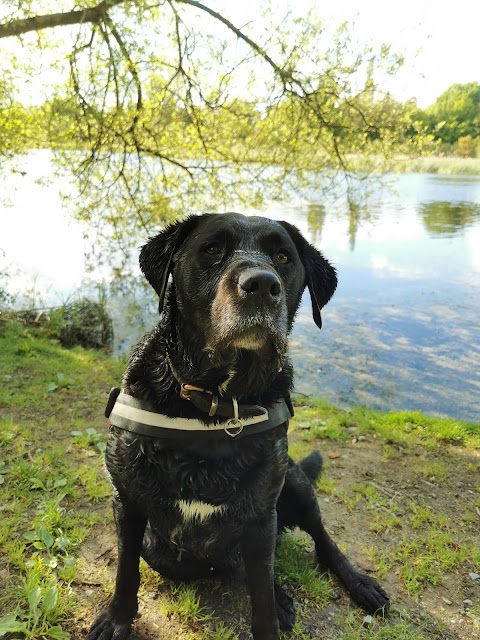 Abbey Boarding Kennels and Cattery Ring Anytime