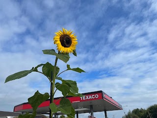 Crookstown Service Station