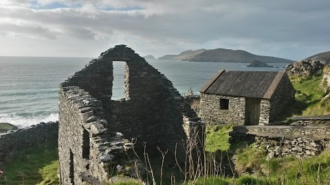 Daniel Sheehan, Killarney Private Tours