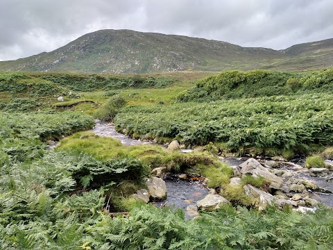 Letterkeen Trailhead