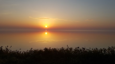 База відпочінку УДПУ Драгоманова " Берізка"