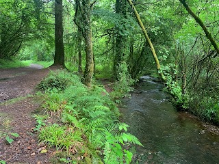 Glansheskin Park