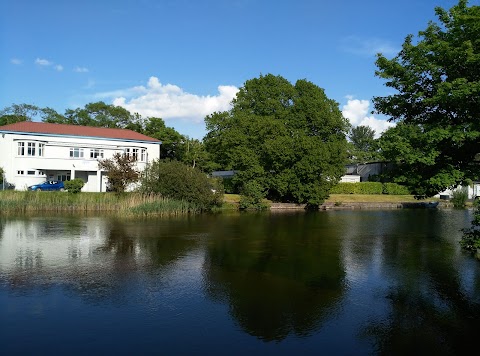 Huston School of Film & Digital Media