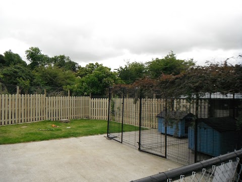 Country Dogs Boarding Kennels and Cattery