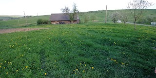 Храм Собору Пресвятої Богородиці