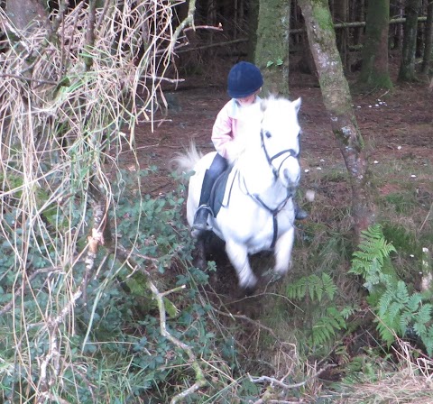 Valley View Equestrian Centre