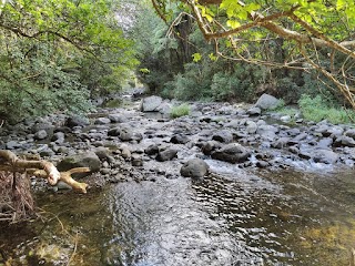 Sapphire Springs Holiday Park & Mineral Pools