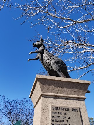 Lambton Park Playground