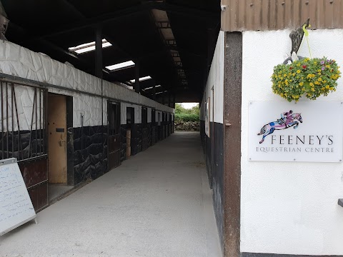 Feeneys Equestrian Centre Galway