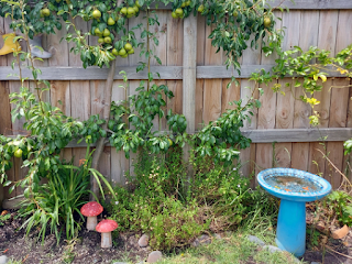 Children's Circle Tauranga Preschool