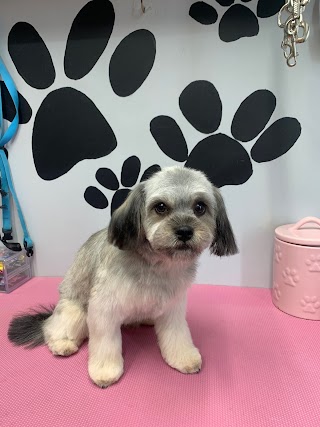 Furever Fluffy Dog Grooming