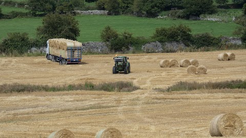 Horeabbey Farm