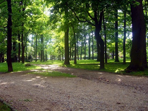 Park Cygański Las w Bielsku-Białej