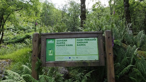 Gougane Barra National Forest Park