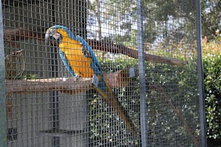 'Amazement' Farm & Fun Park