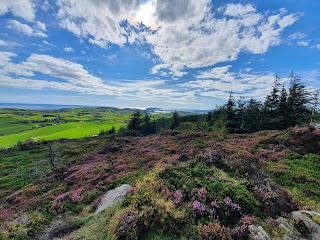 Lough Hyne Forest