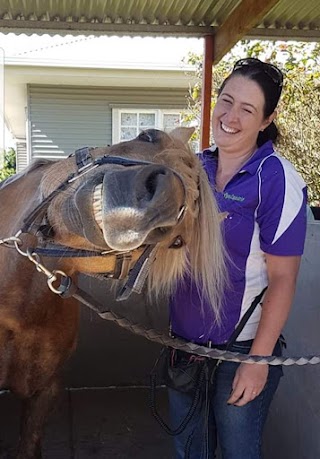 Ajay Equestrian