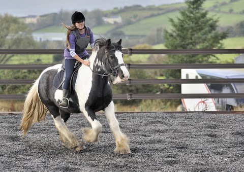 Bantry Bay Pony Trekking