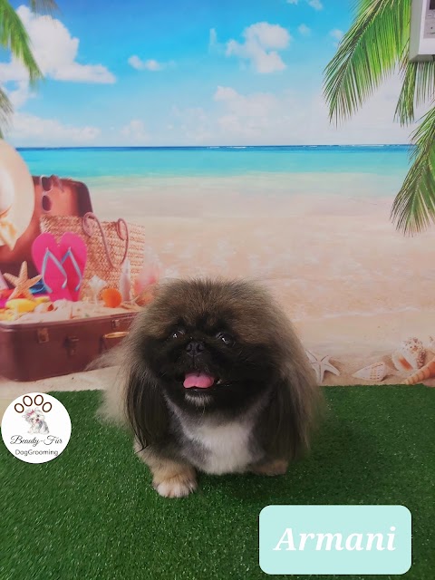 Beauty-Fur DogGrooming