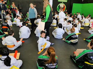 Na Fianna Martial arts and Fitness Centre