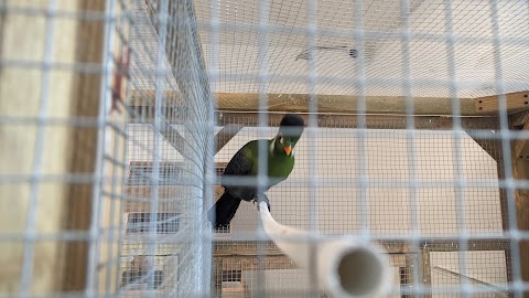 Avian World Pet Store