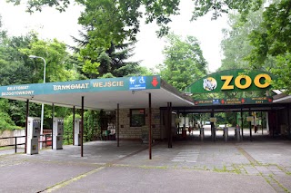 Nowe Zoo