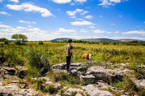 Burren Farm Experience