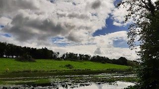 Ballinakill GAA Club