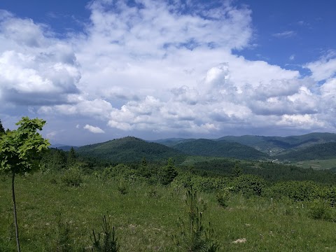 Онуфрієвський чоловічий монастир РПЦвУ