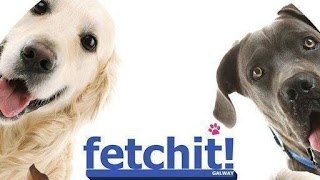 Fetchit!