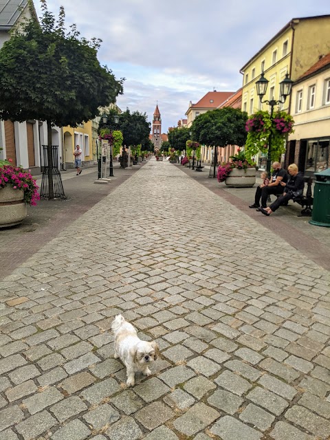 Lombard Grodzisk Wielkopolski - Lombard 66