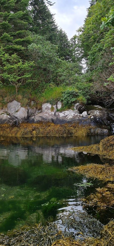 Hotel - Berehaven Lodge #4