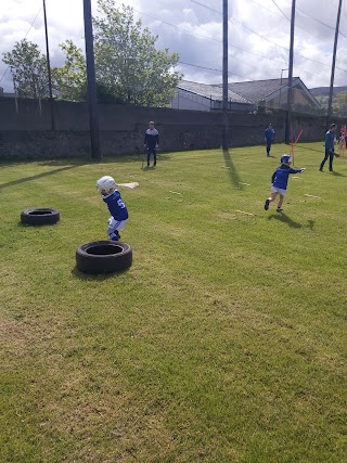 St Marys Hurling Club & Camogie Club