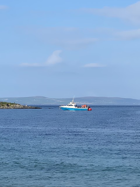 Tralee and Brandon Bay Eco-Marine Tours