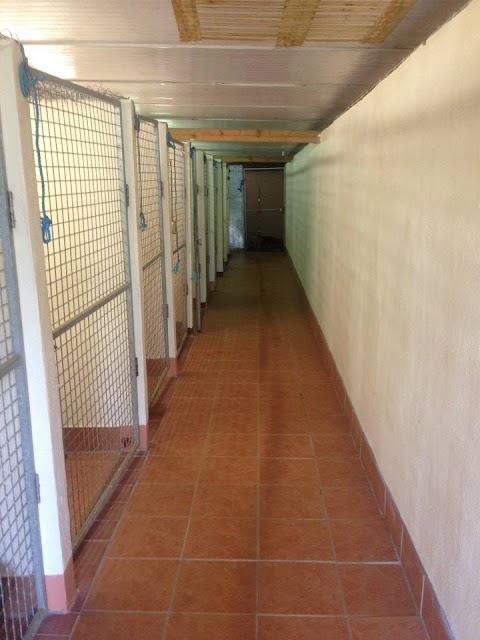 Monarone Boarding Kennels