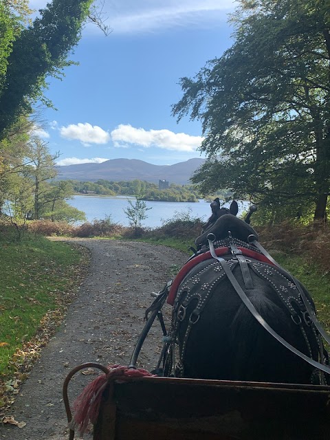 Killarney Carriage Rides