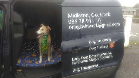 Elite Madra Dog Grooming, Training, Transportation (services by appointment only)..