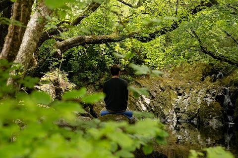 Glengarriff Forest Therapy