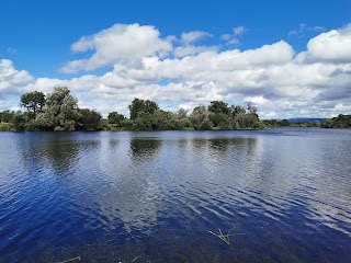 Shannon Rowing Club Annacotty