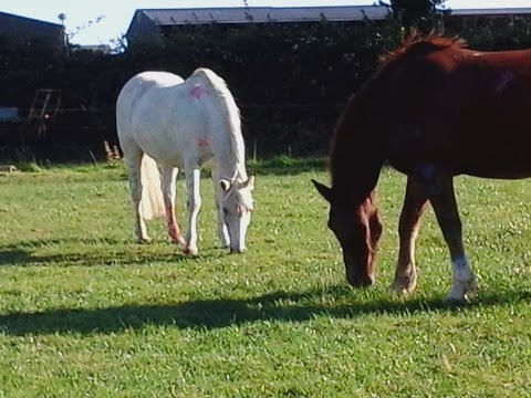 Glen Aire Stables