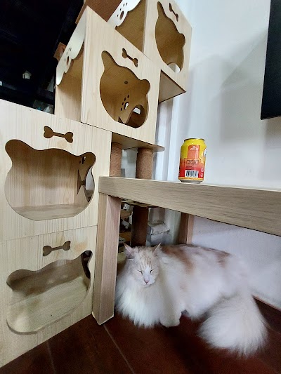 photo of Catopia - Cat Cafe Singapore