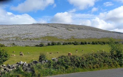 Burren National Park Information Point