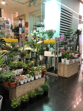 Aga Flowers Kwiaciarnia City Shopping Nowy Plac Unii Kwiaciarnia Warszawa Bukiety ślubne Warszawa