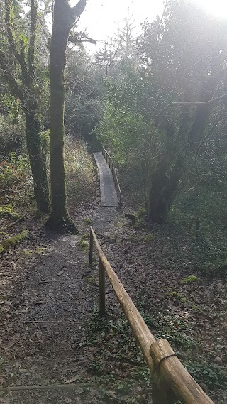 Esknamucky Walk & Waterfall