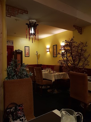 Dynasty Chinese & Asian Restaurant