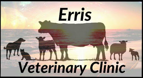 Erris Veterinary Clinic, The Docks, Belmullet, Co. Mayo, F26 Y89E