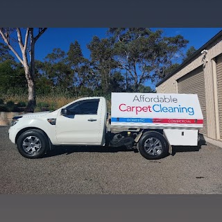 Affordable carpet cleaning
