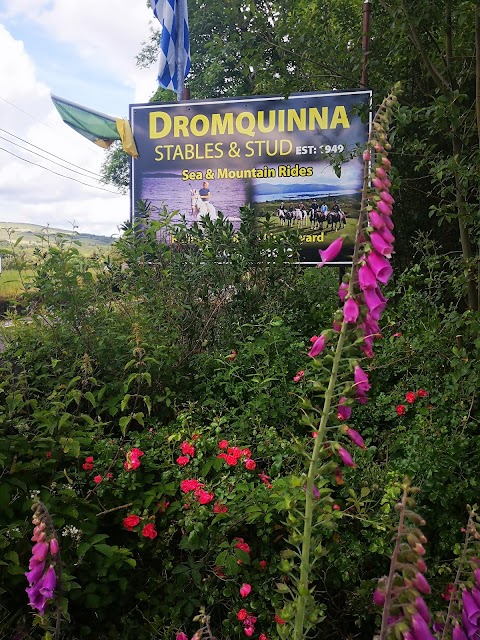 Dromquinna STABLES